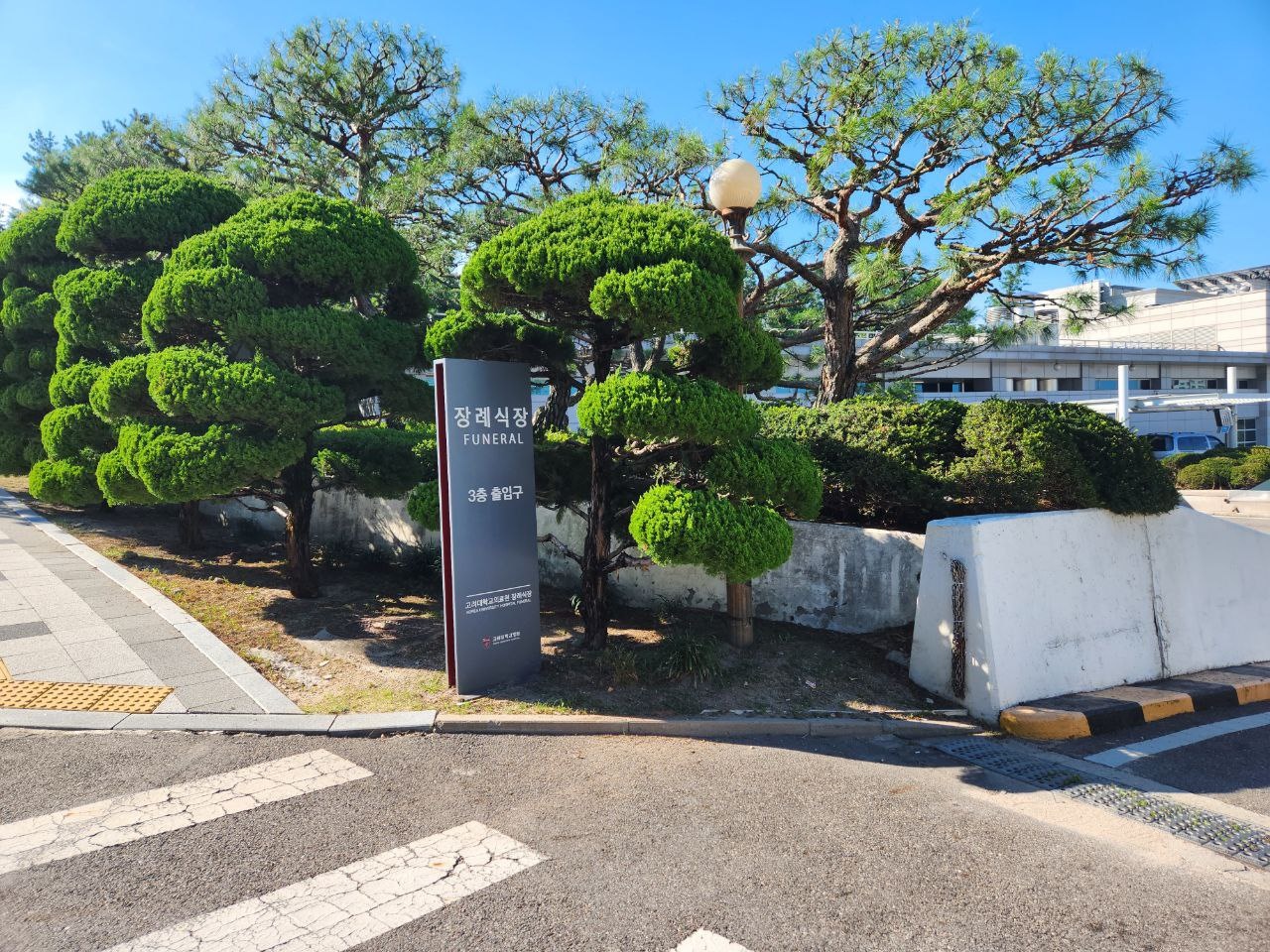 장례식장 표지와 푸른 나무들